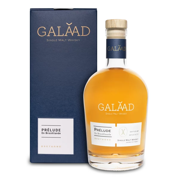 GALAAD Prélude en Brocéliande